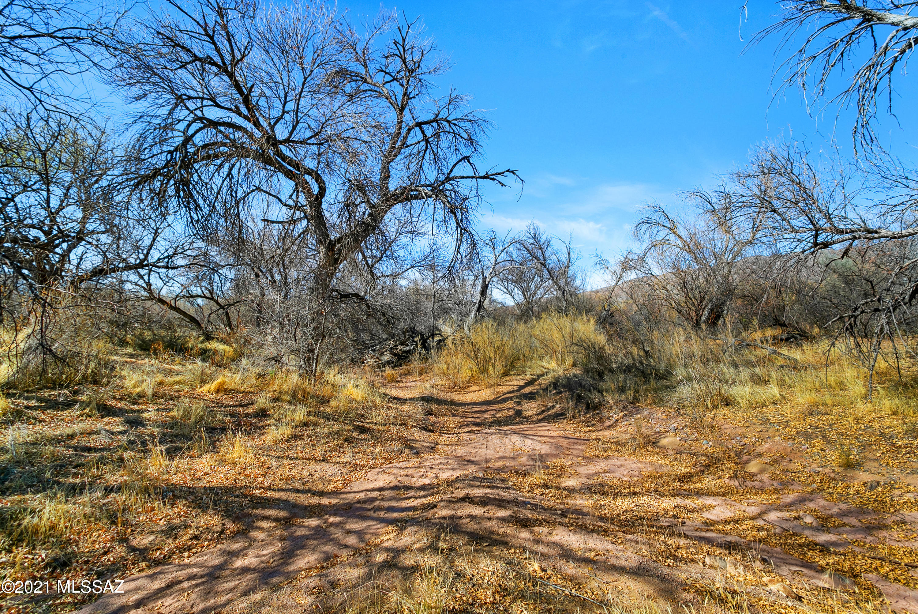 0 East McKenzie Wash Road, Unit 63 Vail, AZ 85641 - Photo 2 of 21
