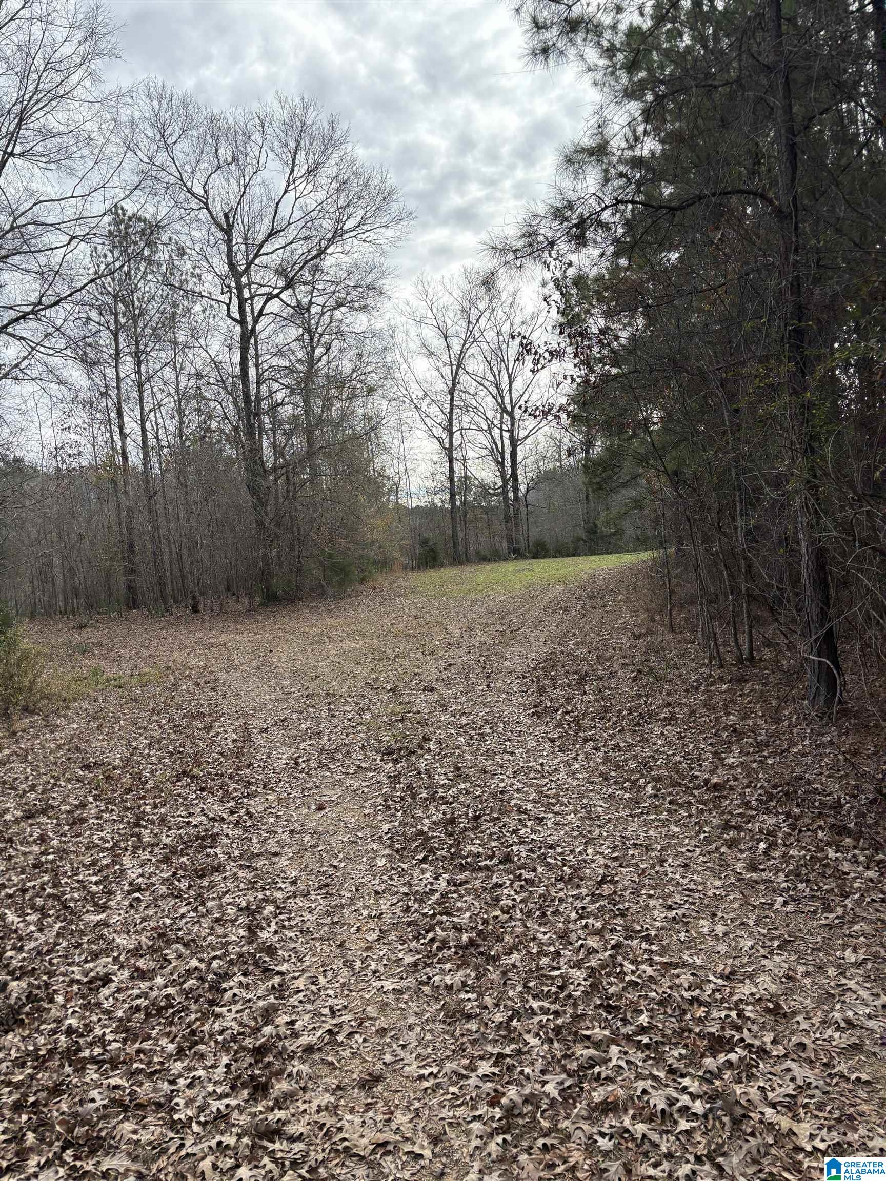 6342 Selma Road, Unit 1 Centreville, AL 35042 - Photo 16 of 21
