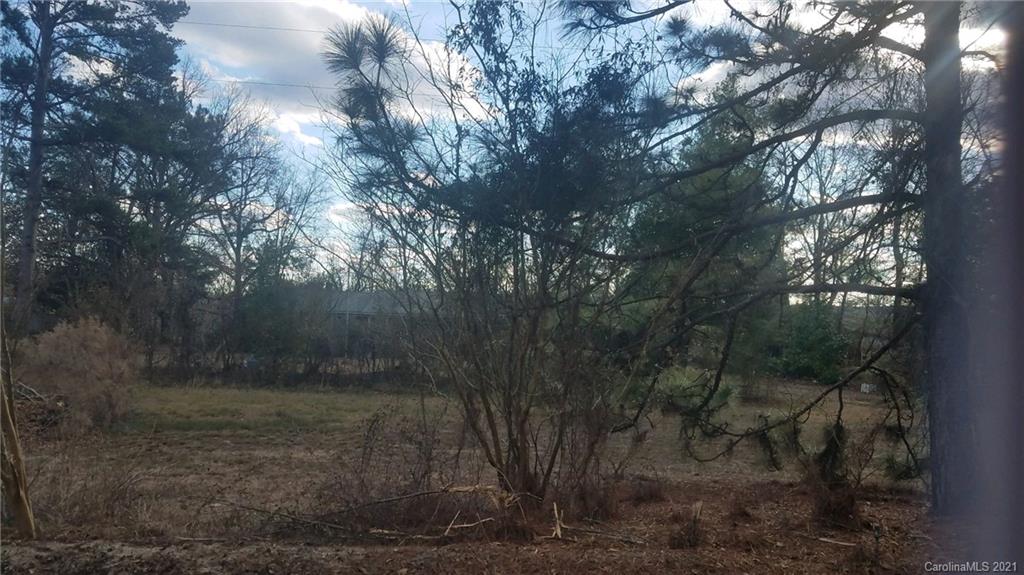 984 Eugene Woodward Road Ruby, SC 29741 - Photo 10 of 16 Gallery Image 10