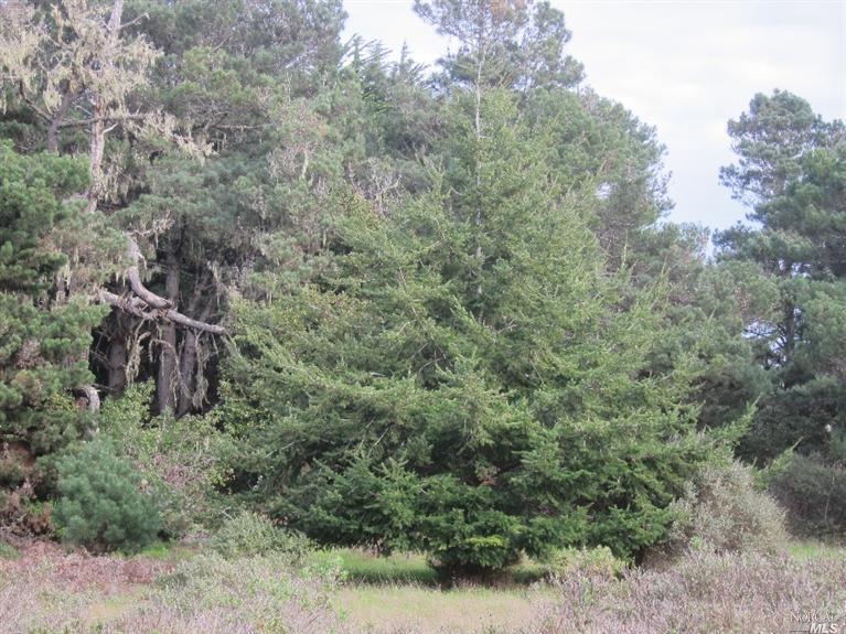 40430 Leeward Road The Sea Ranch, CA 95497 - Photo 1 of 1 Gallery Image 1