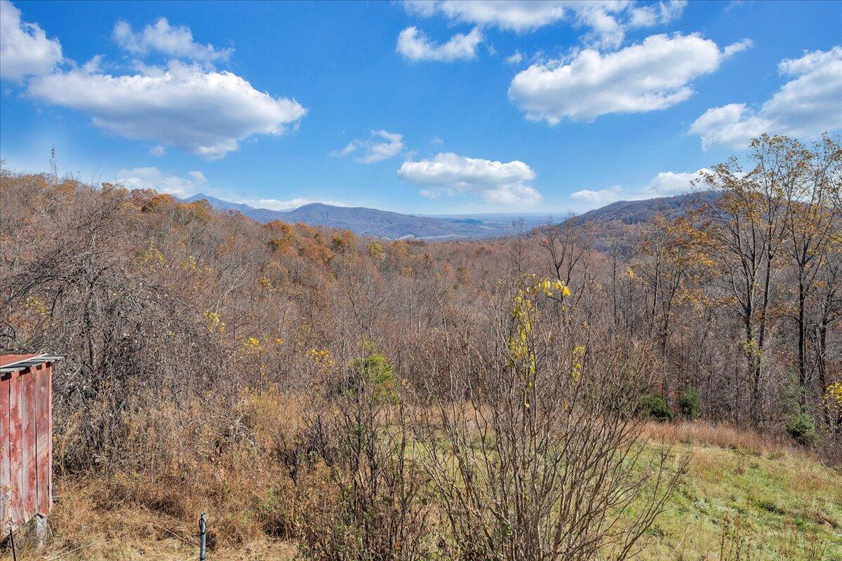1891 Fosters Knob Road Blue Ridge, VA 24064 - Photo 24 of 36 26-MIB07365
