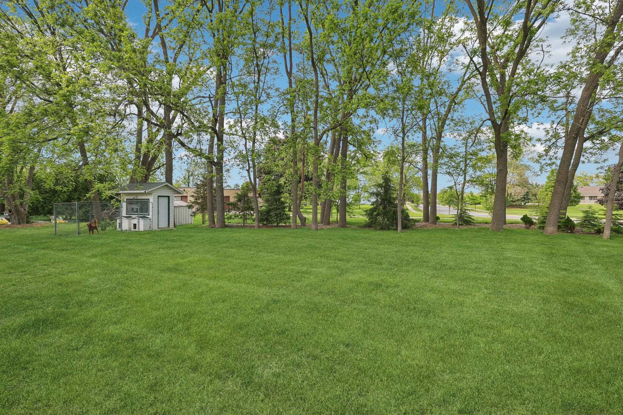 161 East Pine Street Lake Mills, WI 53551 - Photo 52 of 56