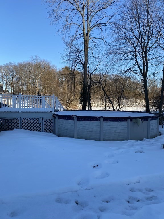 30 Hampton Knolls Road Holyoke, MA 01040 - Photo 34 of 38 a view of backyard with large trees