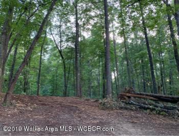 457 Broadway Road Winfield, AL 35594 - Photo 8 of 16 Gallery Image 8