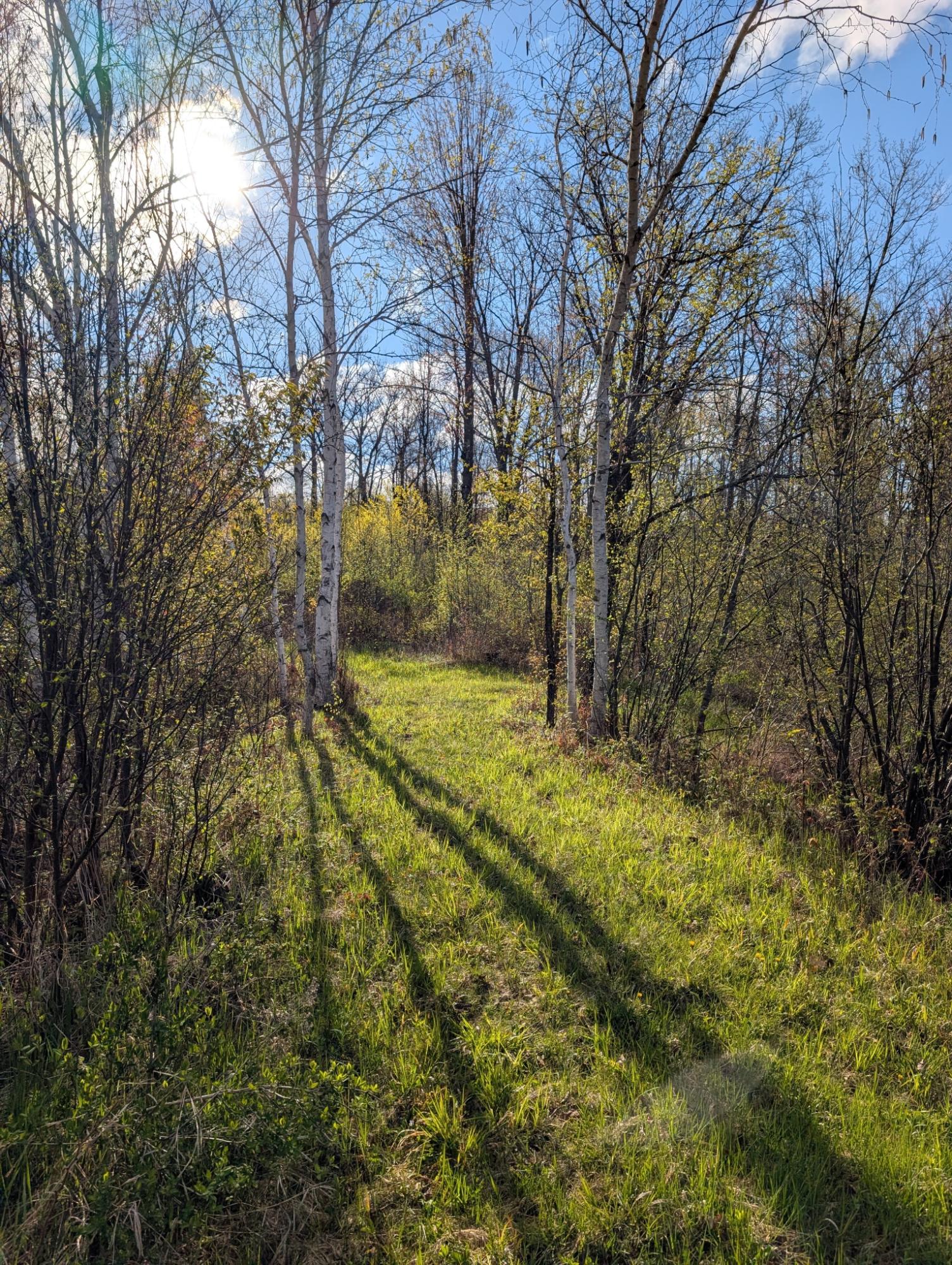 N7898 Fedyn Road Ladysmith, WI 54848 - Photo 78 of 93