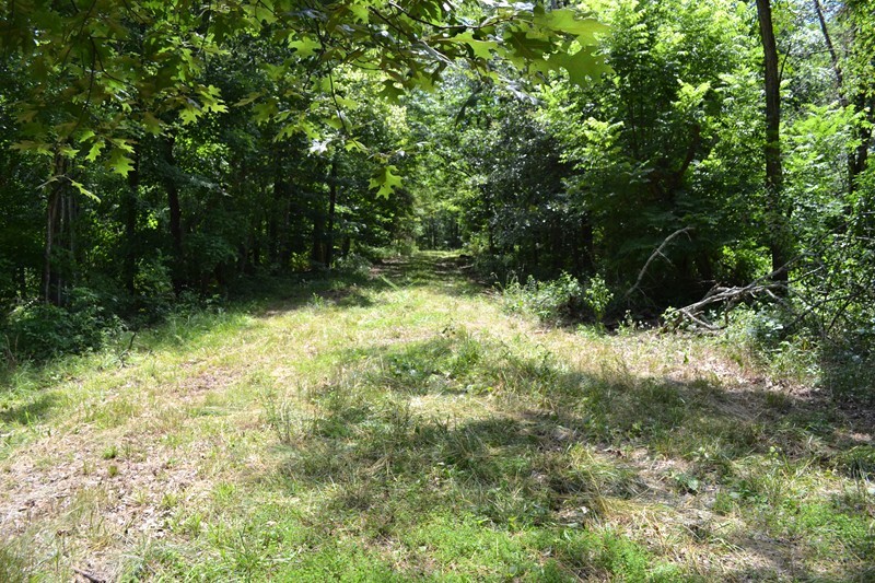 Tbd Tbd Tbd Day Road Marion, IL 62959 - Photo 10 of 13 Gallery Image 10