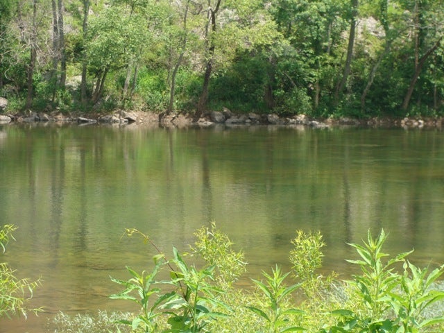 916 Briarcliff Road Hinton, WV 25951 - Photo 39 of 39 The Greenbrier River