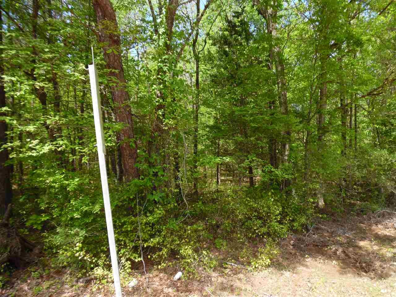 0 Bark Road Sardis, TN 38371 - Photo 2 of 4