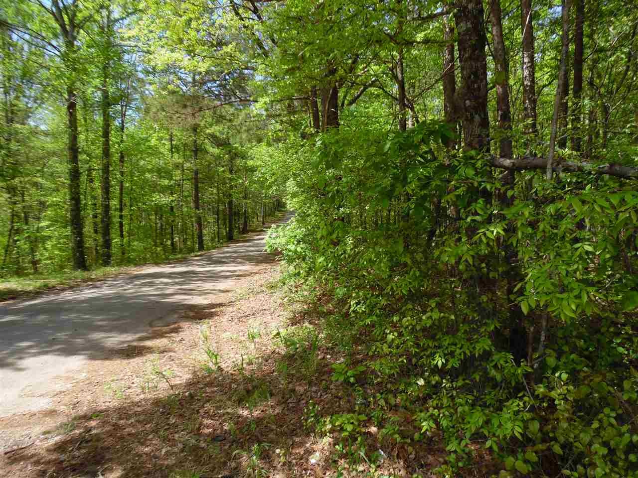 0 Bark Road Sardis, TN 38371 - Photo 4 of 4