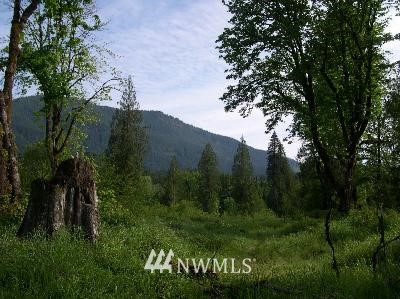 7 Cedar Grove Road Randle, WA 98377 - Photo 1 of 1 Gallery Image 1