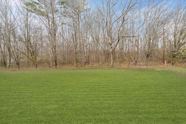 a view of a house with a backyard