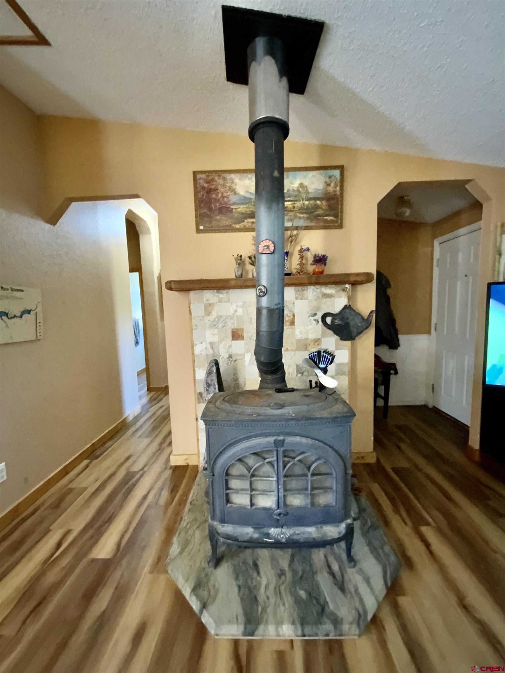 657 Antelope Road Gunnison, CO 81230 - Photo 8 of 18 Wood Stove