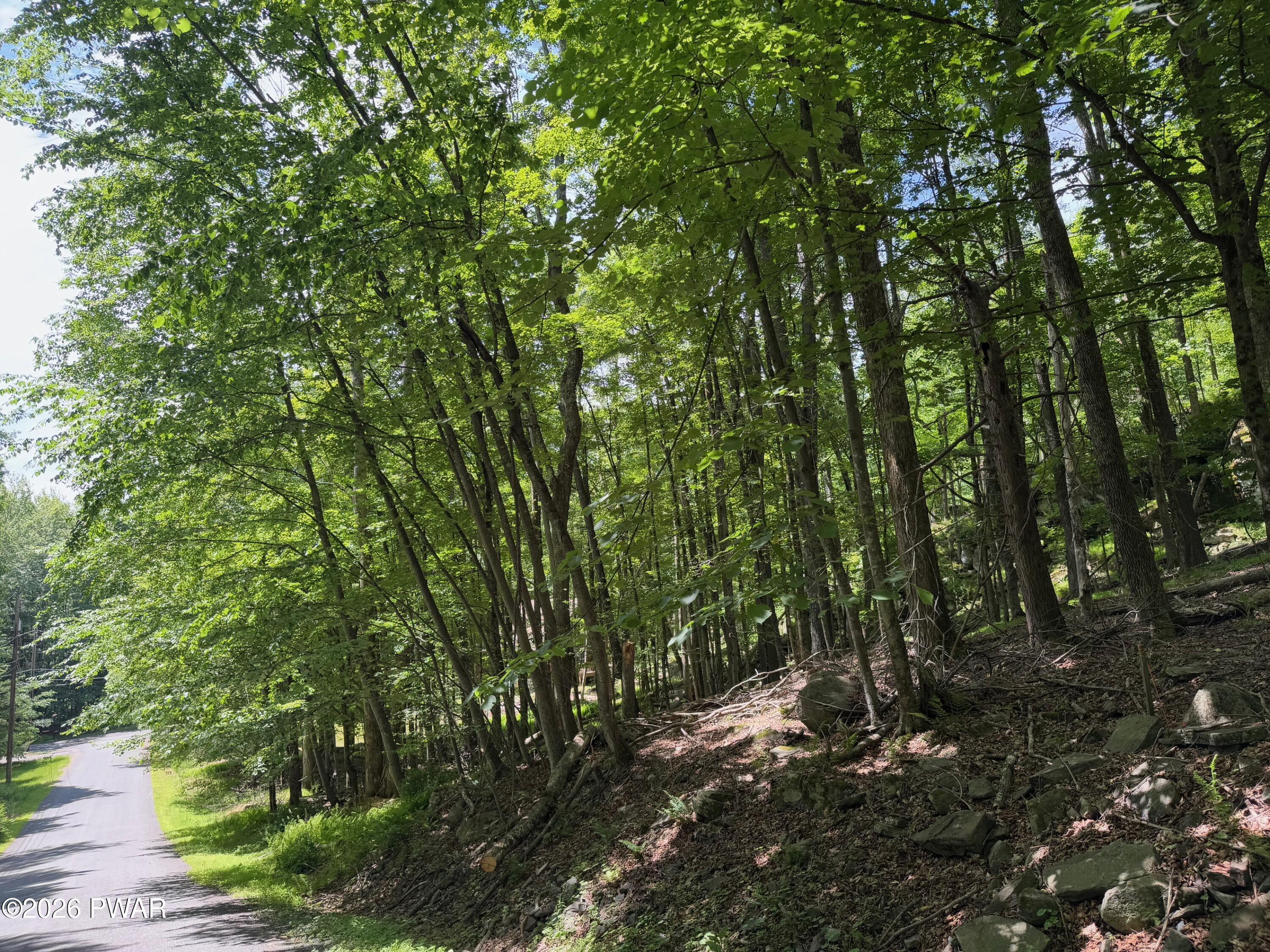 Lot 193 Cygnus Road Lake Ariel, PA 18436 - Photo 10 of 25