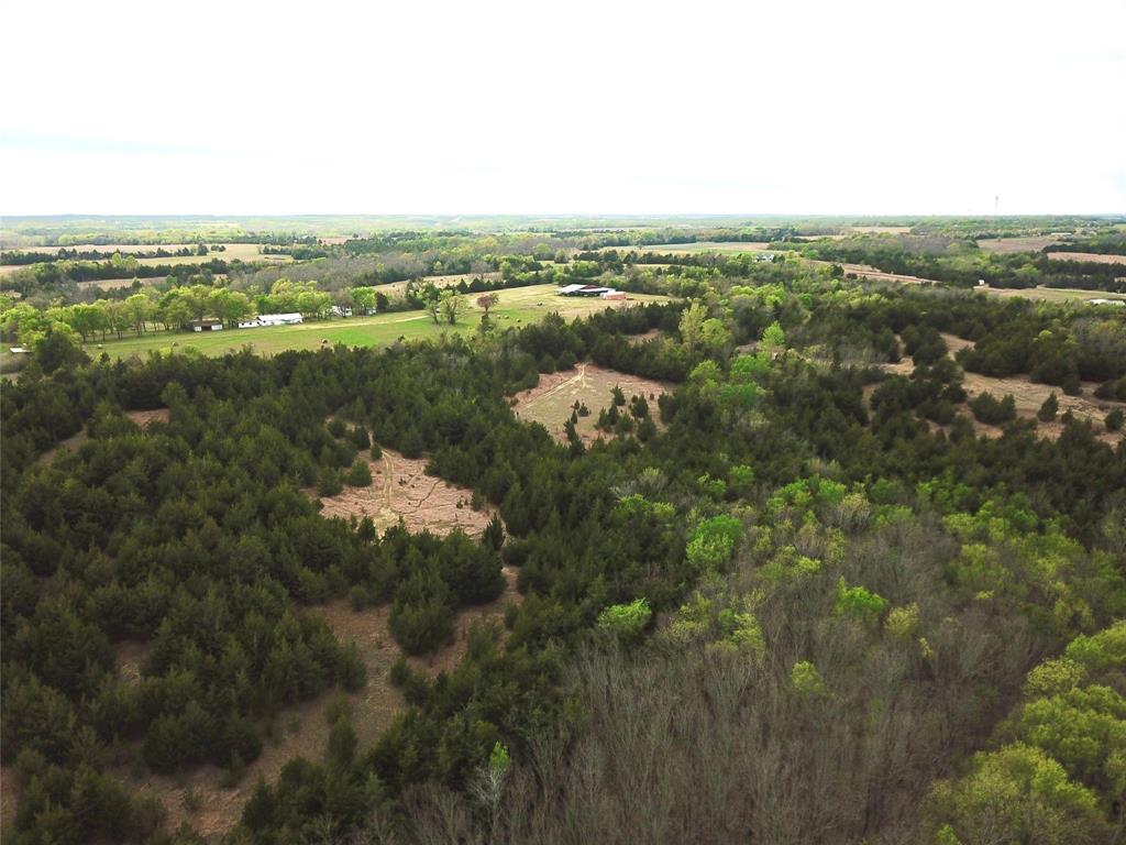3211 End Dodd City, TX 75438 - Photo 3 of 7