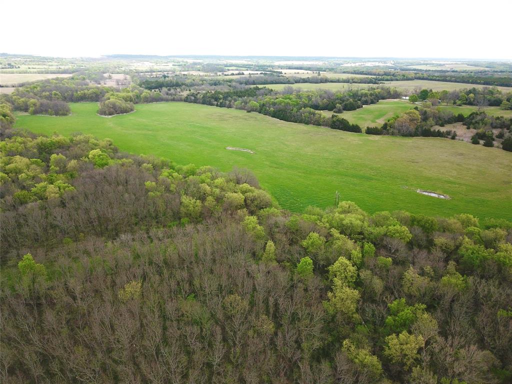 3211 End Dodd City, TX 75438 - Photo 4 of 7