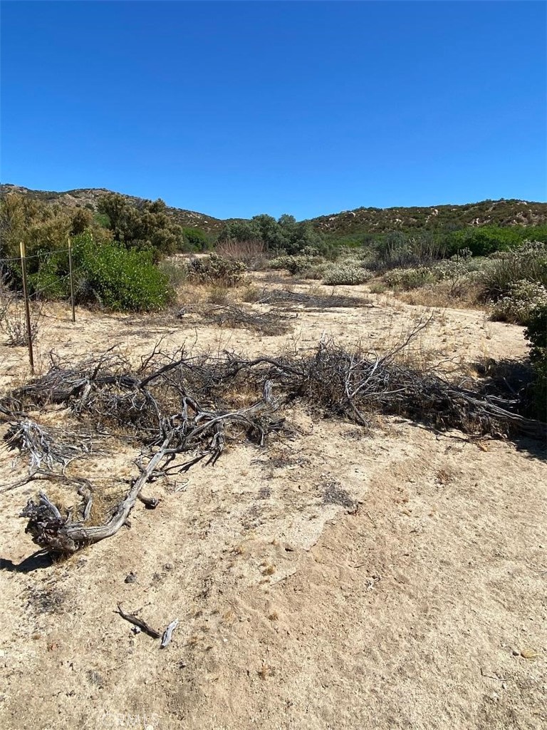 42729 Wild Horse Anza Ca  