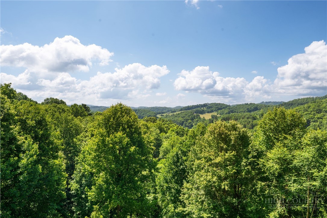 480 River Ridge Road Boone, NC 28607 - Photo 18 of 42