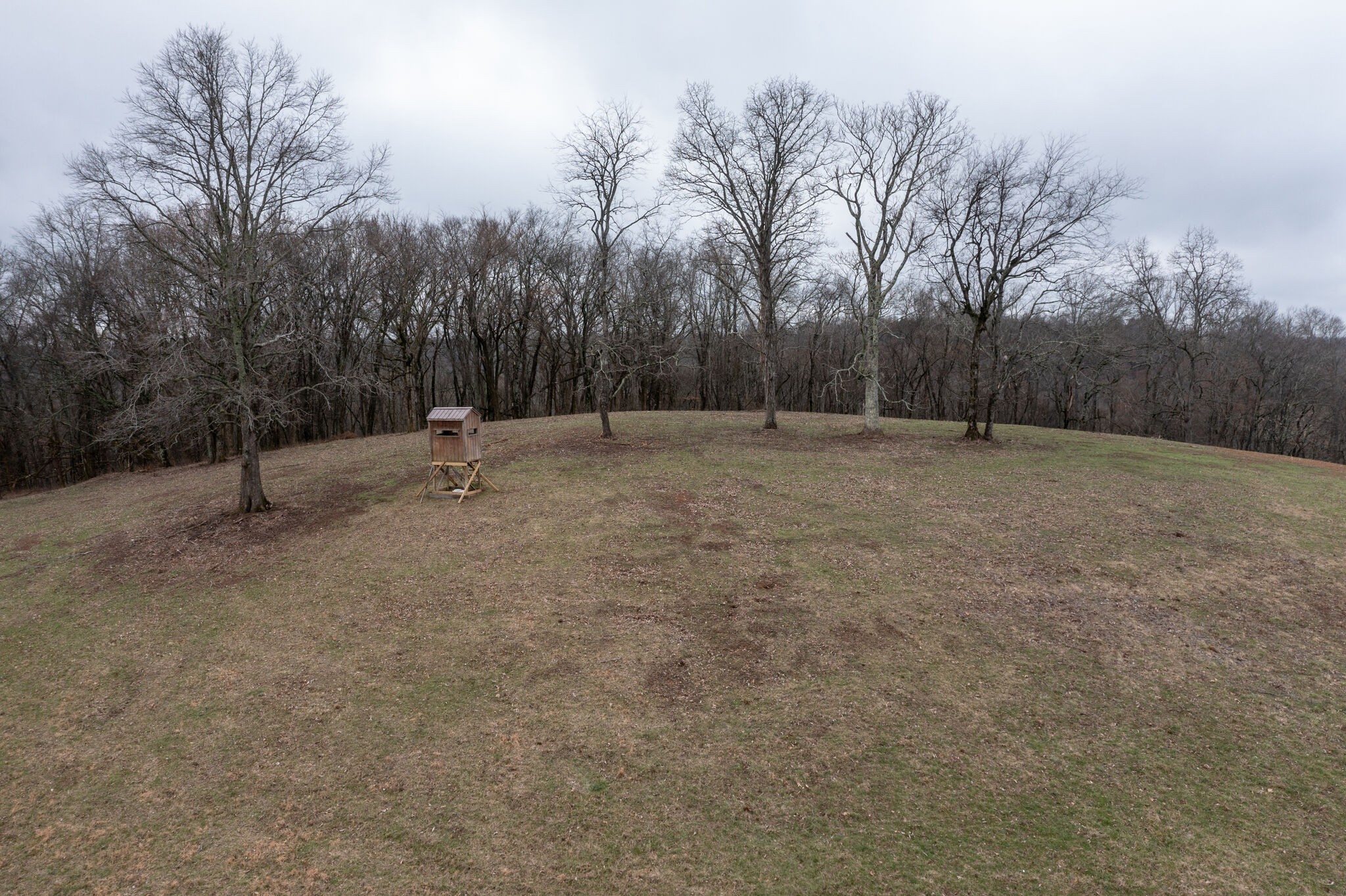 0 Molino Road Fayetteville, TN 37334 - Photo 6 of 8 a view of a field with trees in the background