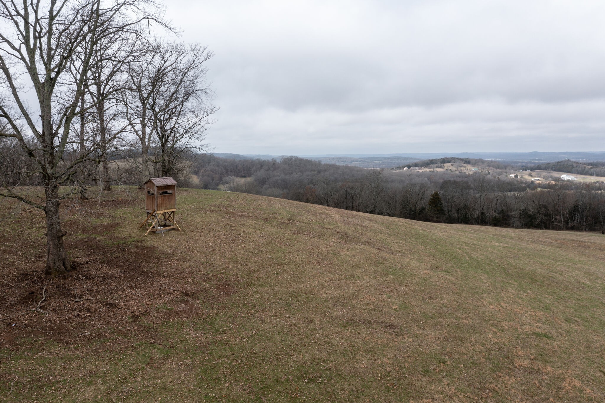 0 Molino Road Fayetteville, TN 37334 - Photo 7 of 8 a view of outdoor space and mountain view