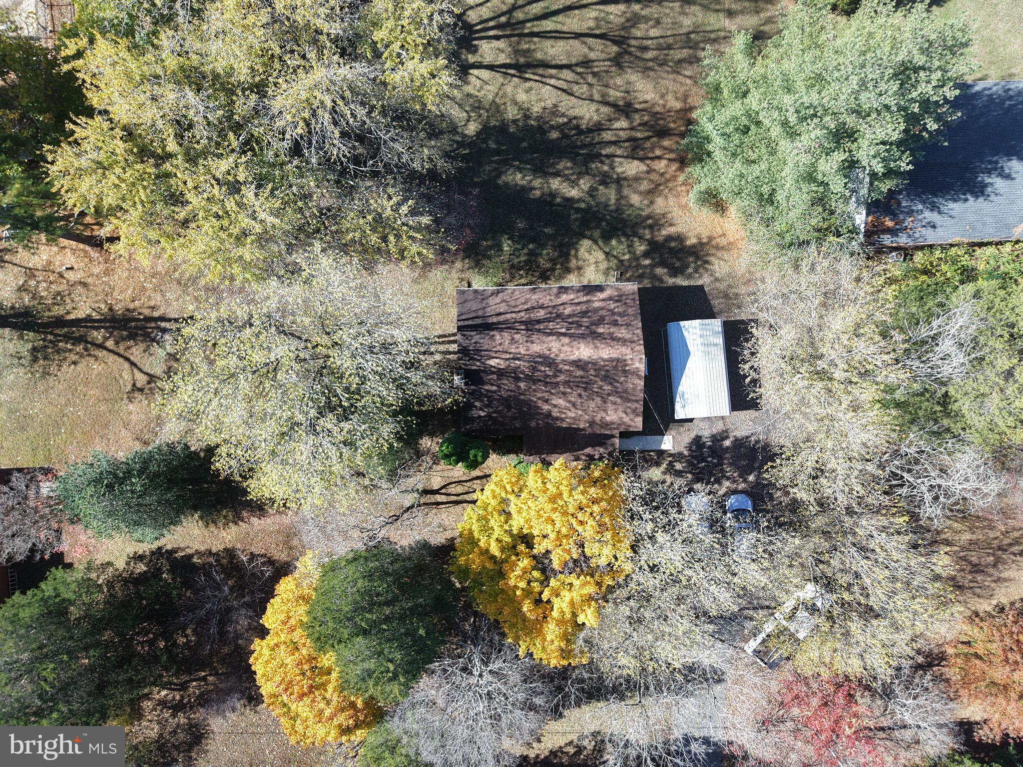 12102 Lucasville Road Manassas, VA 20112 - Photo 6 of 22 a view of a yard with plants