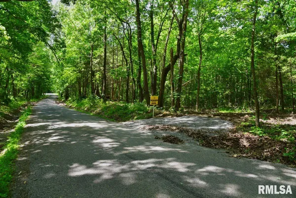 $62,920 | 1 Robinson Hill Road, Stonefort, IL 62987