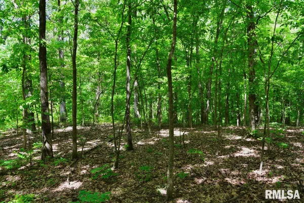 $62,920 | 1 Robinson Hill Road, Stonefort, IL 62987