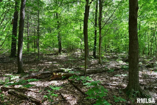 $69,598 | 1 Robinson Hill Road, Stonefort, IL 62987