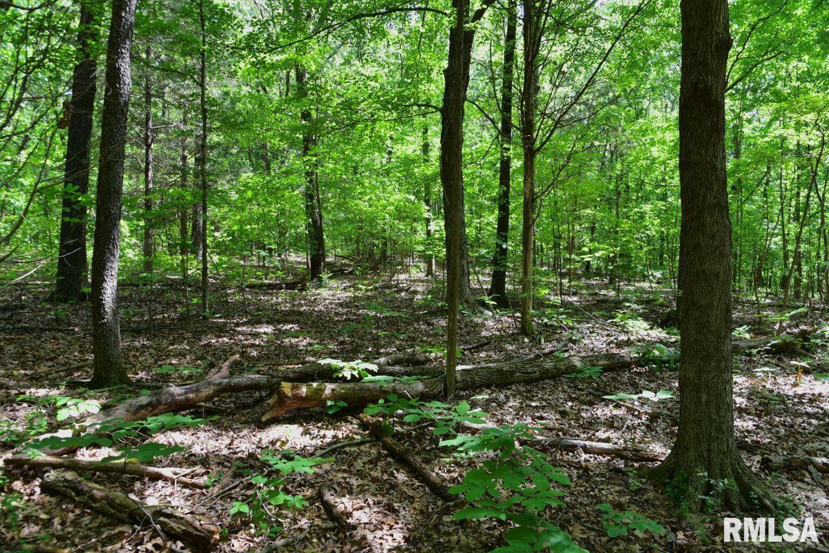 1 Robinson Hill Road Stonefort, IL 62987 - Photo 12 of 30