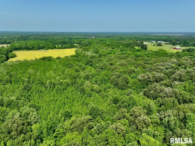 $69,598 | 1 Robinson Hill Road, Stonefort, IL 62987