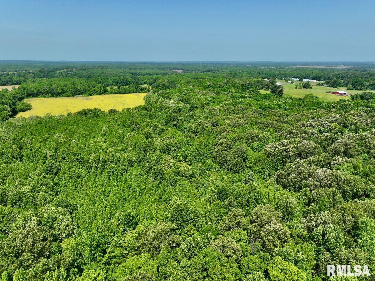 1 Robinson Hill Road Stonefort, IL 62987 - Photo 13 of 30