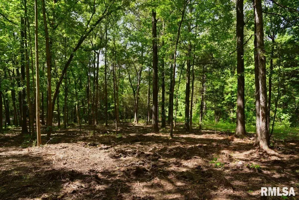 $62,920 | 1 Robinson Hill Road, Stonefort, IL 62987