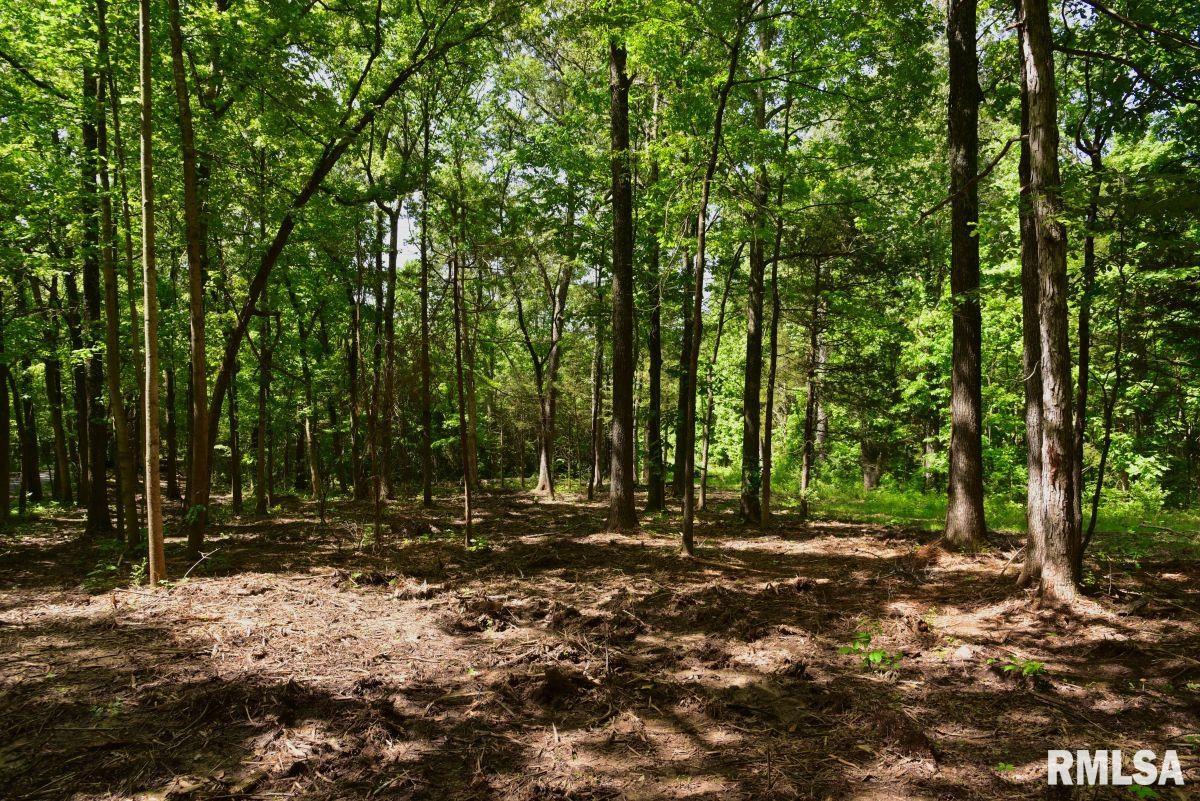 1 Robinson Hill Road Stonefort, IL 62987 - Photo 14 of 30