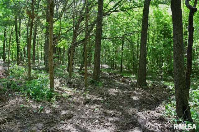 $69,598 | 1 Robinson Hill Road, Stonefort, IL 62987