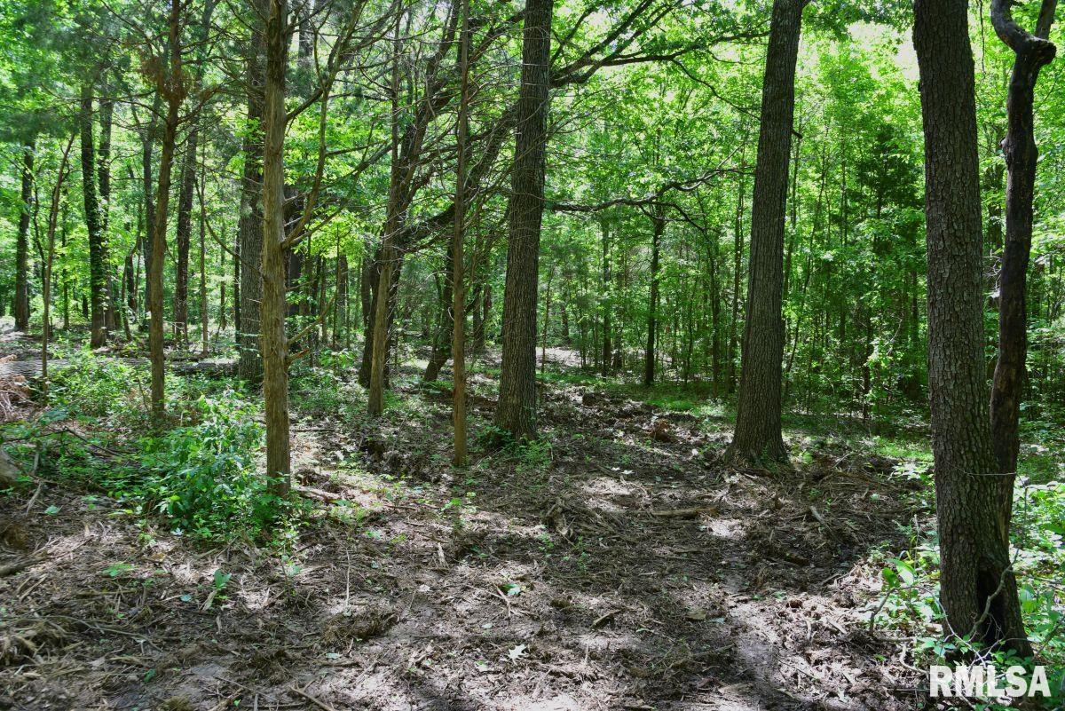 1 Robinson Hill Road Stonefort, IL 62987 - Photo 15 of 30