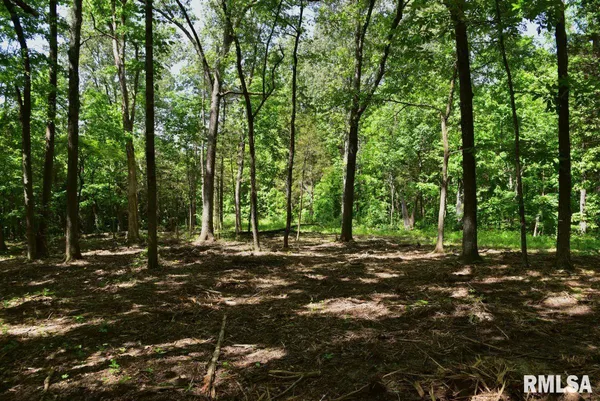 $62,920 | 1 Robinson Hill Road, Stonefort, IL 62987