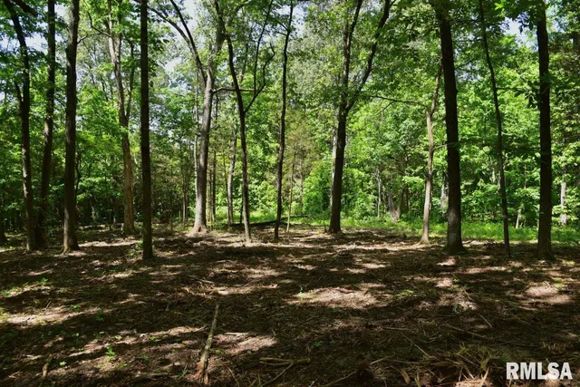 $69,598 | 1 Robinson Hill Road, Stonefort, IL 62987