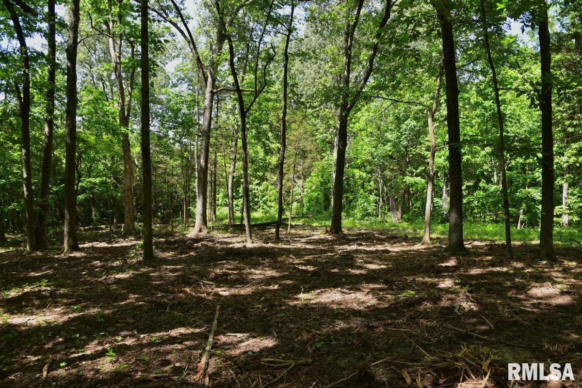 1 Robinson Hill Road Stonefort, IL 62987 - Photo 16 of 30