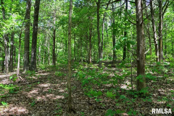 $62,920 | 1 Robinson Hill Road, Stonefort, IL 62987