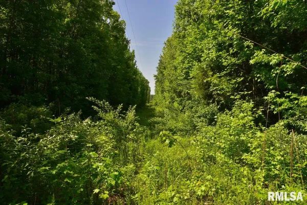 $62,920 | 1 Robinson Hill Road, Stonefort, IL 62987