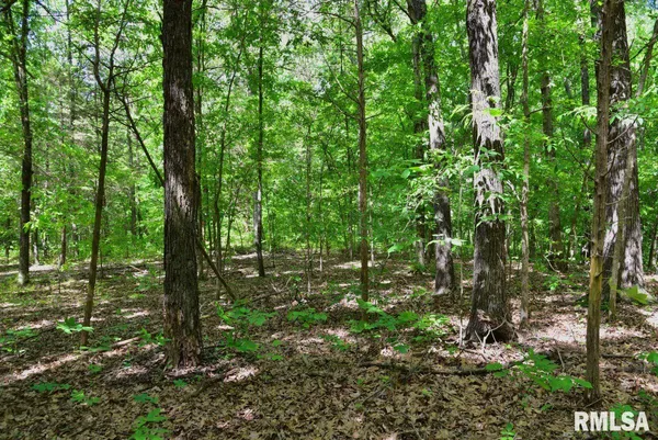 $62,920 | 1 Robinson Hill Road, Stonefort, IL 62987