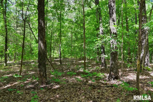 $69,598 | 1 Robinson Hill Road, Stonefort, IL 62987