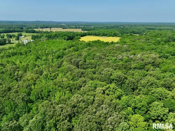 $62,920 | 1 Robinson Hill Road, Stonefort, IL 62987