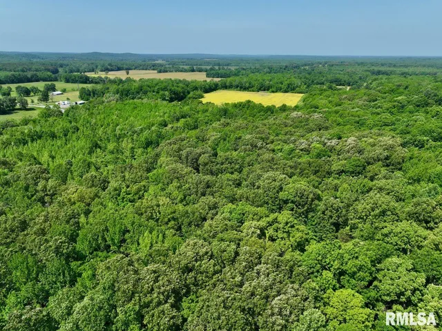 $69,598 | 1 Robinson Hill Road, Stonefort, IL 62987