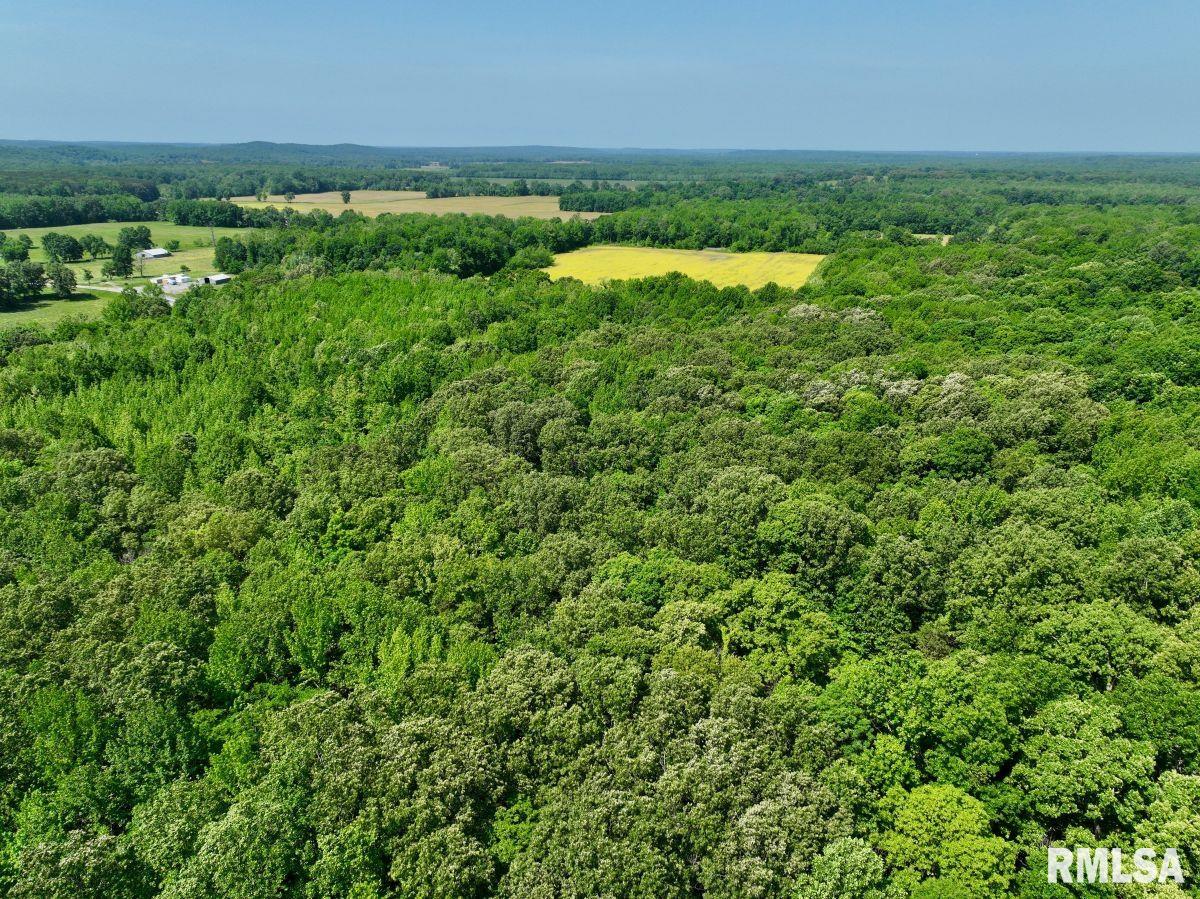 1 Robinson Hill Road Stonefort, IL 62987 - Photo 20 of 30