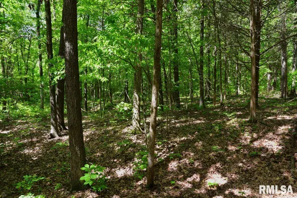 $62,920 | 1 Robinson Hill Road, Stonefort, IL 62987