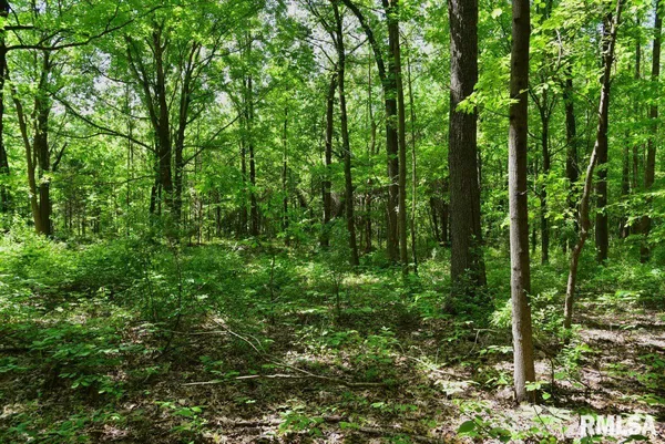 $62,920 | 1 Robinson Hill Road, Stonefort, IL 62987