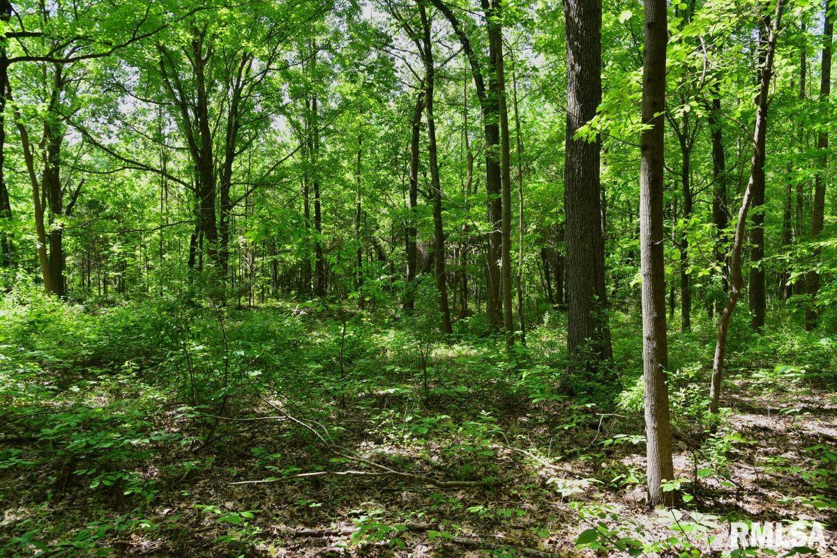 1 Robinson Hill Road Stonefort, IL 62987 - Photo 22 of 30