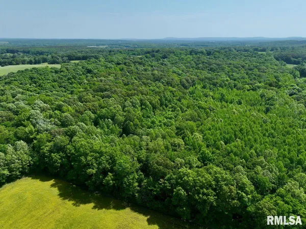 $62,920 | 1 Robinson Hill Road, Stonefort, IL 62987