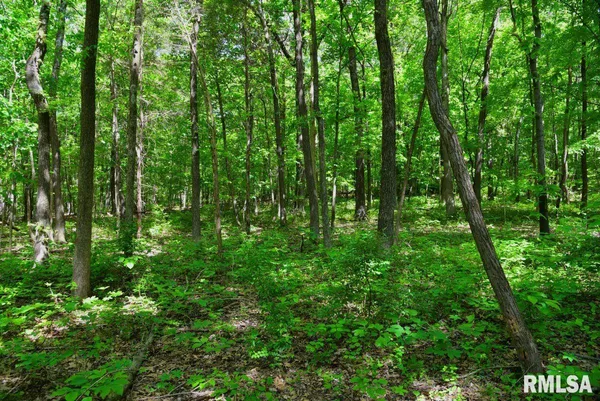 $62,920 | 1 Robinson Hill Road, Stonefort, IL 62987