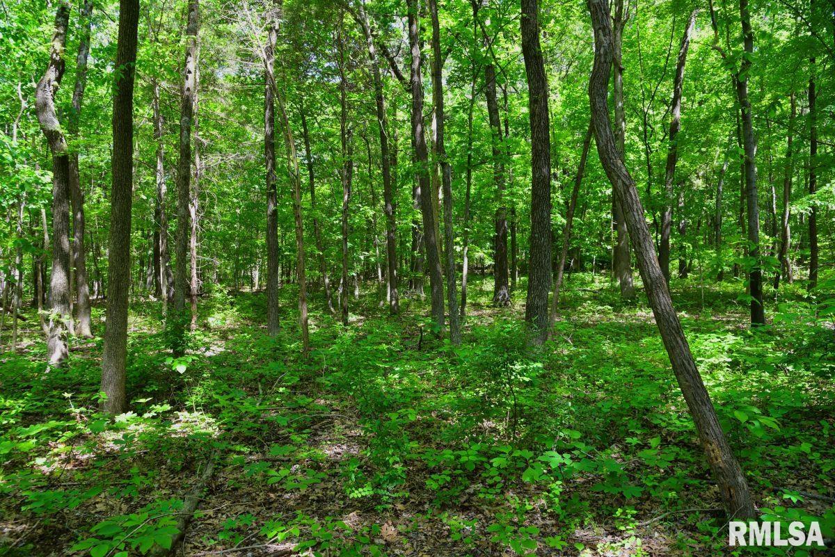 1 Robinson Hill Road Stonefort, IL 62987 - Photo 24 of 30